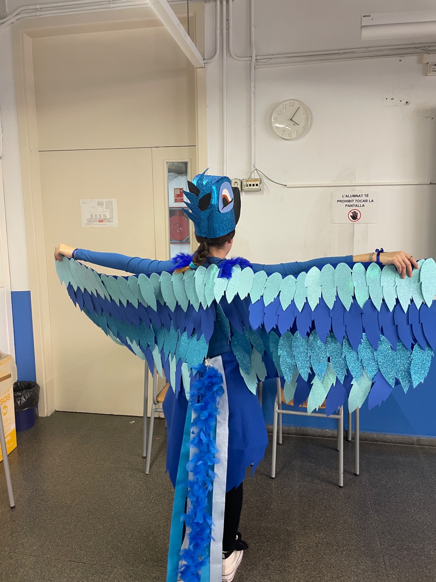 Disfressa de l'alumna Mireia Martinez.